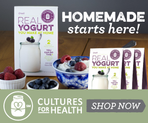 Yogurt Banner 300x250