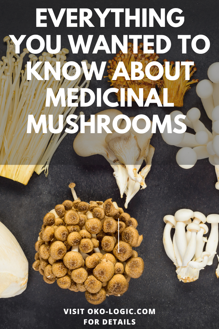 Reishi, Chaga, and Turkey Tail Mushroom Benefits for Vibrant Health