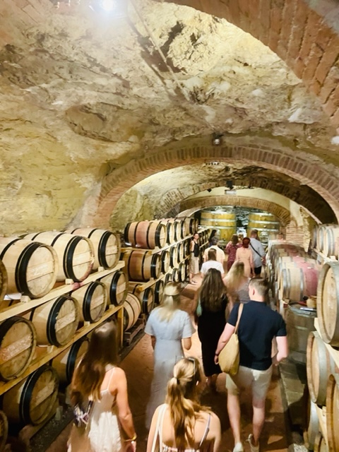 travelers in a winery